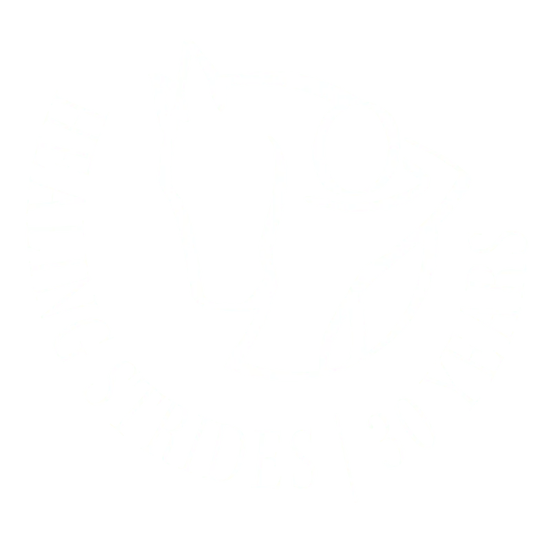 The healingstridesofva logo